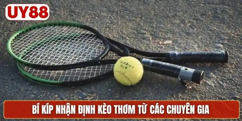 Bí kíp nhận định kèo thơm từ các chuyên gia