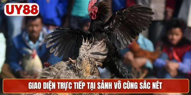 Giao diện trực tiếp tại sảnh vô cùng sắc nét