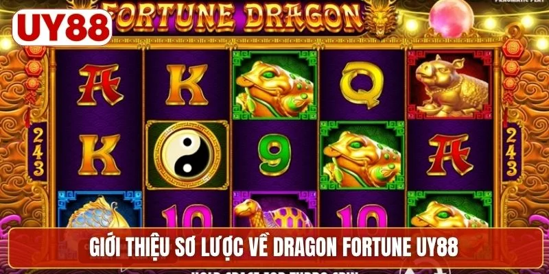 Giới thiệu sơ lược về Dragon Fortune UY88
