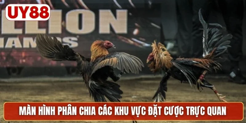 Màn hình phân chia các khu vực đặt cược trực quan